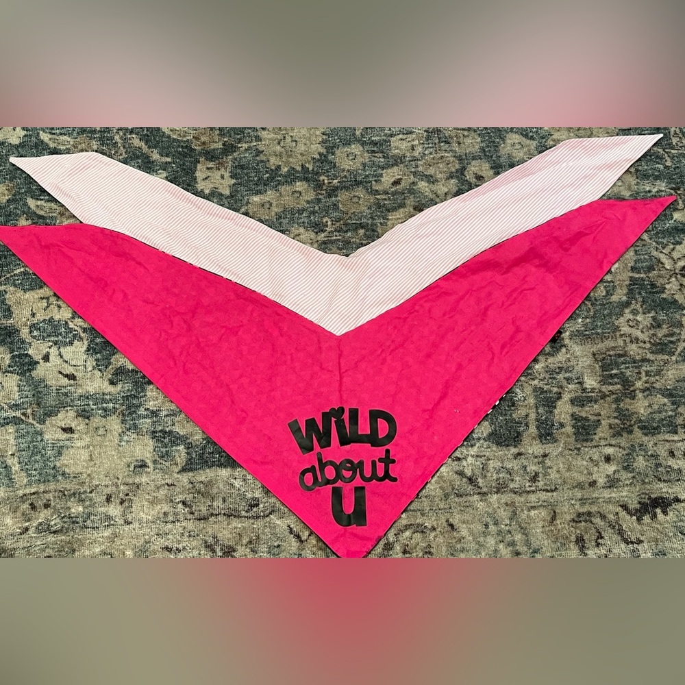 Set of 2 reversible dog bandanas